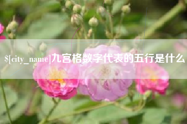 延边九宫格数字代表的五行是什么