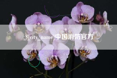 延边中国消防官方