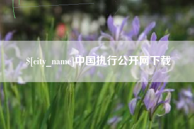 延边中国执行公开网下载