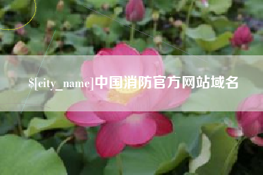 延边中国消防官方网站域名