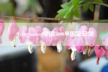 延边中国5000米国家记录