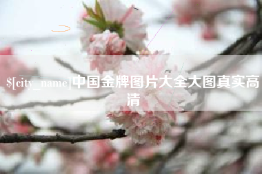 延边中国金牌图片大全大图真实高清