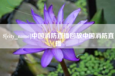 延边中国消防直播回放中国消防直播