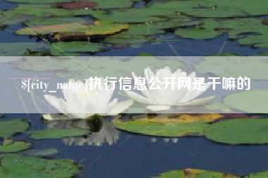 延边执行信息公开网是干嘛的