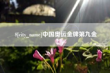 延边中国奥运金牌第九金