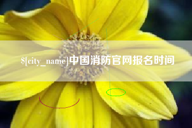 延边中国消防官网报名时间