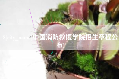 延边中国消防救援学院招生章程公布!