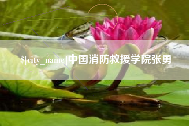 延边中国消防救援学院张勇