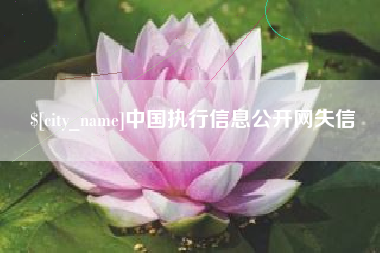 延边中国执行信息公开网失信