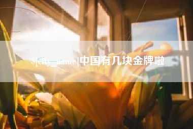 延边中国有几块金牌啦