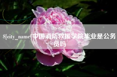 延边中国消防救援学院毕业是公务员吗
