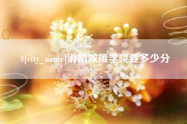延边消防救援学院要多少分
