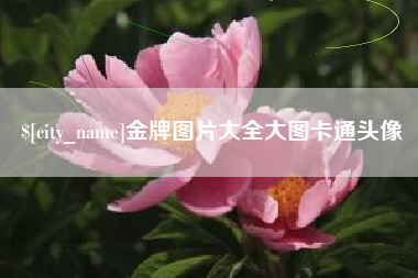 延边金牌图片大全大图卡通头像