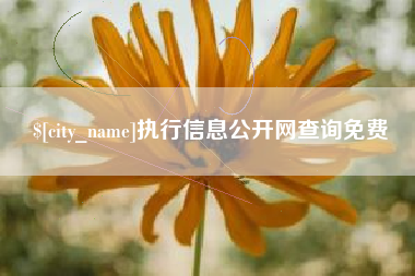 延边执行信息公开网查询免费