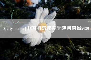 延边中国消防救援学院河南省2020